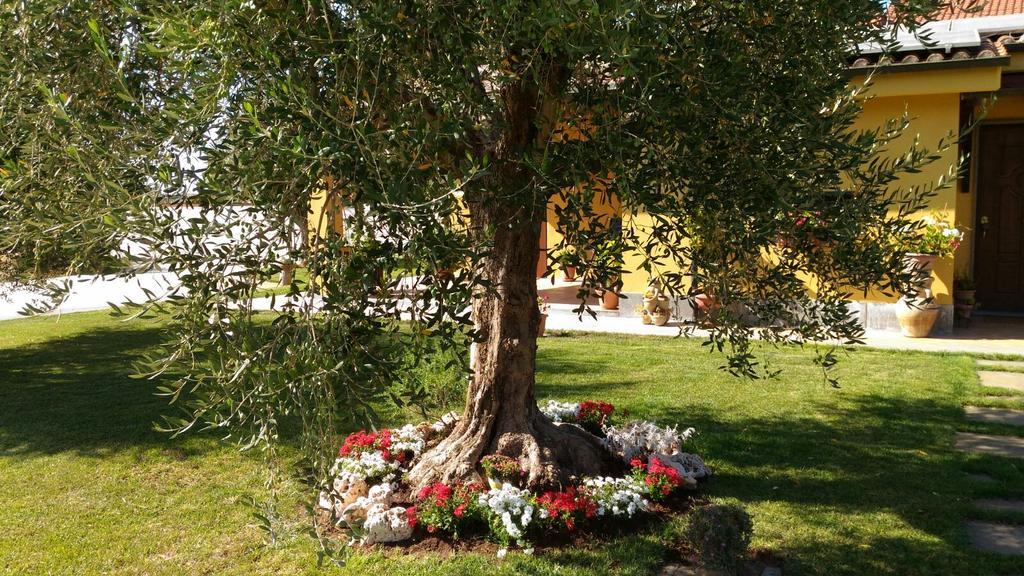L'Antico Vigneto Hotel Marino Exterior foto